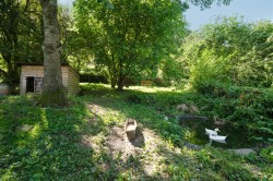 Images for Duck Street, Symondsbury