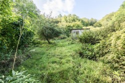 Images for Duck Street, Symondsbury
