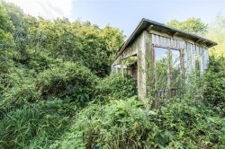 Images for Duck Street, Symondsbury