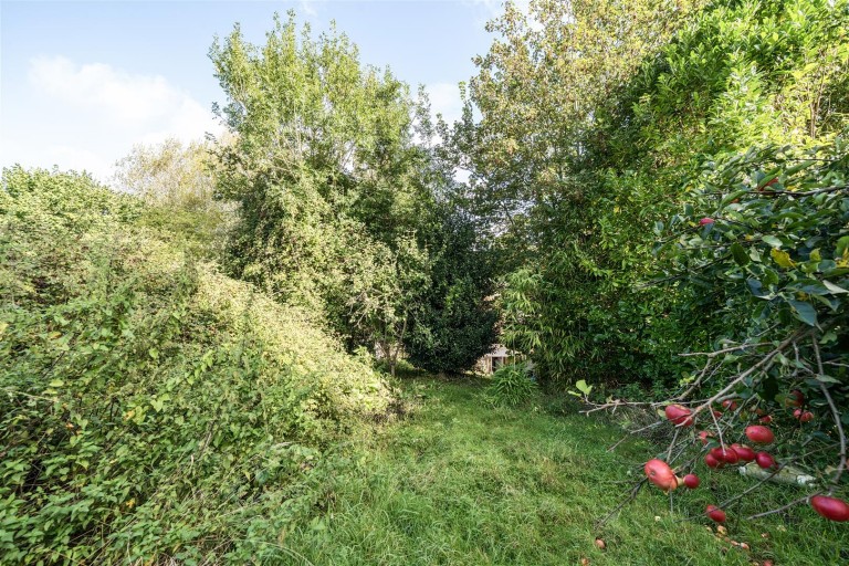 Images for Duck Street, Symondsbury