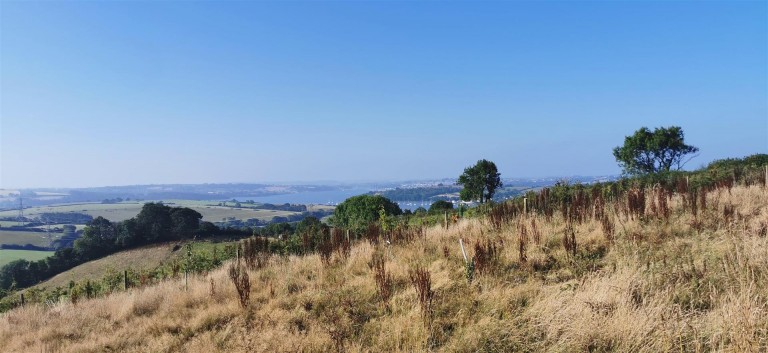 Images for Bere Ferrers