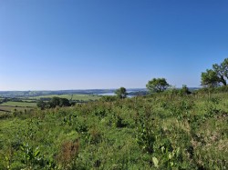 Images for Bere Ferrers