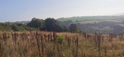 Images for Bere Ferrers