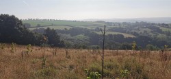 Images for Bere Ferrers