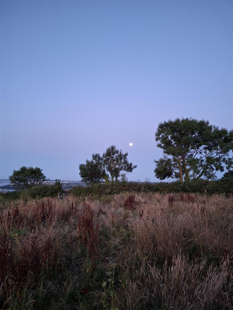 Images for Bere Ferrers