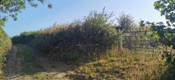 Images for Bere Ferrers