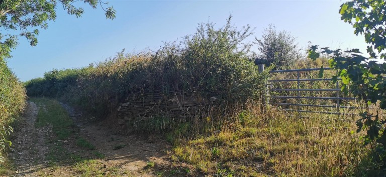 Images for Bere Ferrers