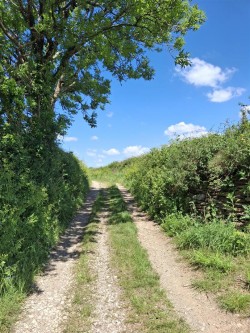 Images for Bere Ferrers