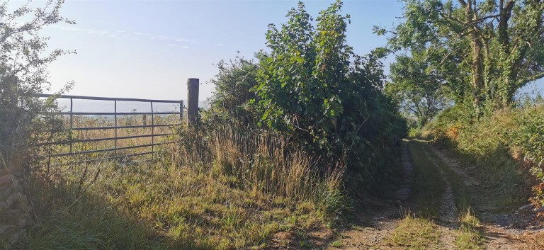 Images for Bere Ferrers