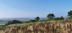 Images for Bere Ferrers