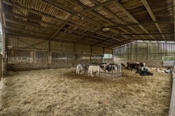 Images for Long Acres Farm, Wangfield Lane, Curdridge, Southampton