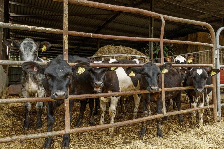 Images for Long Acres Farm, Wangfield Lane, Curdridge, Southampton
