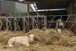 Images for Long Acres Farm, Wangfield Lane, Curdridge, Southampton