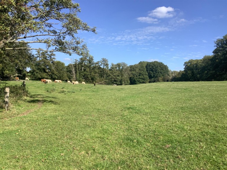 Images for Long Acres Farm, Wangfield Lane, Curdridge, Southampton