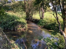 Images for Long Acres Farm, Wangfield Lane, Curdridge, Southampton