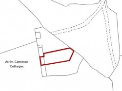 Images for Broadoak, Bridport