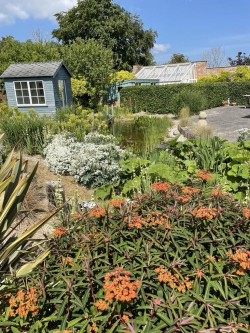 Images for Upcott, Taunton