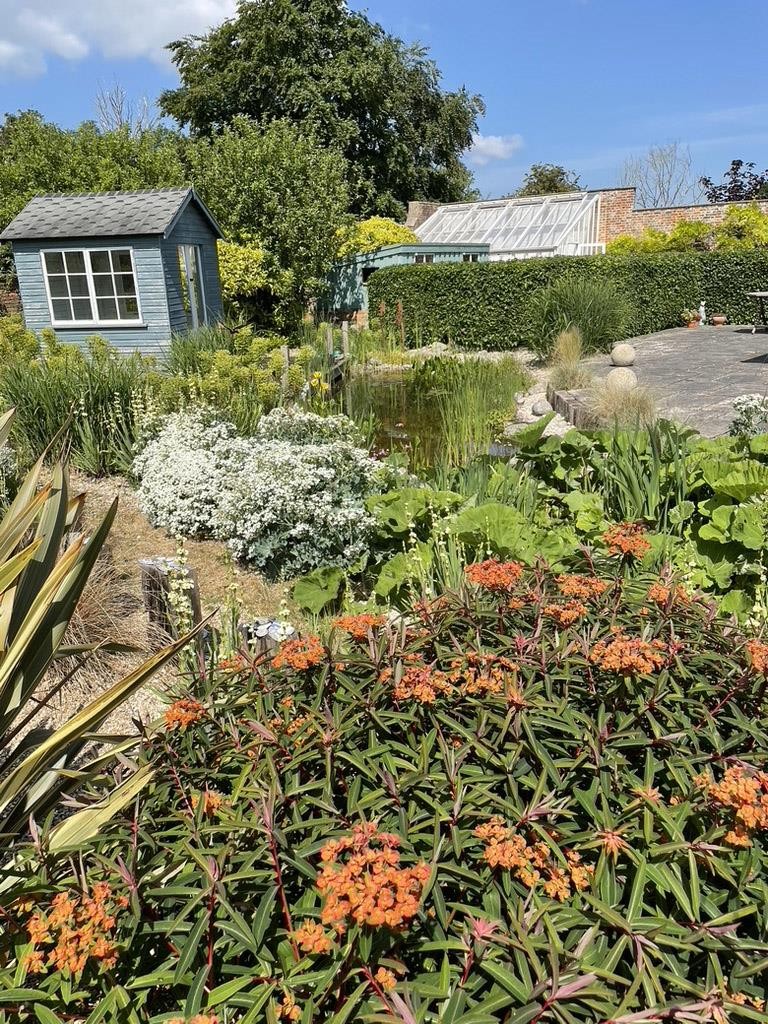 Images for Upcott, Taunton