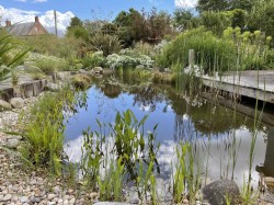 Images for Upcott, Taunton