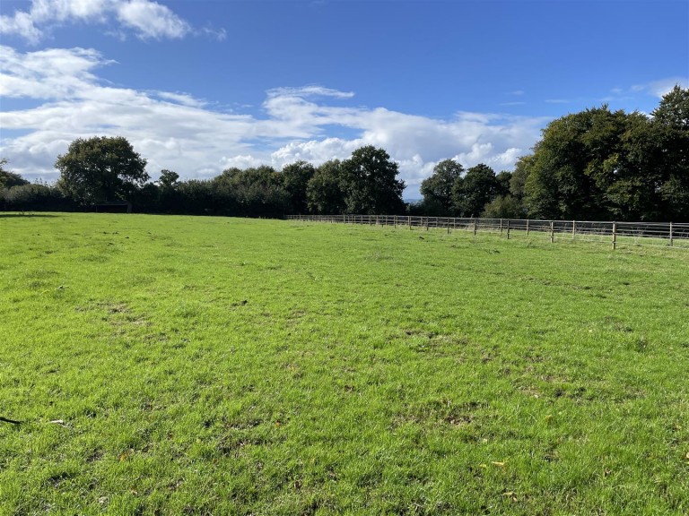 Images for Tedburrow, near Culmstock