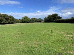 Images for Tedburrow, near Culmstock