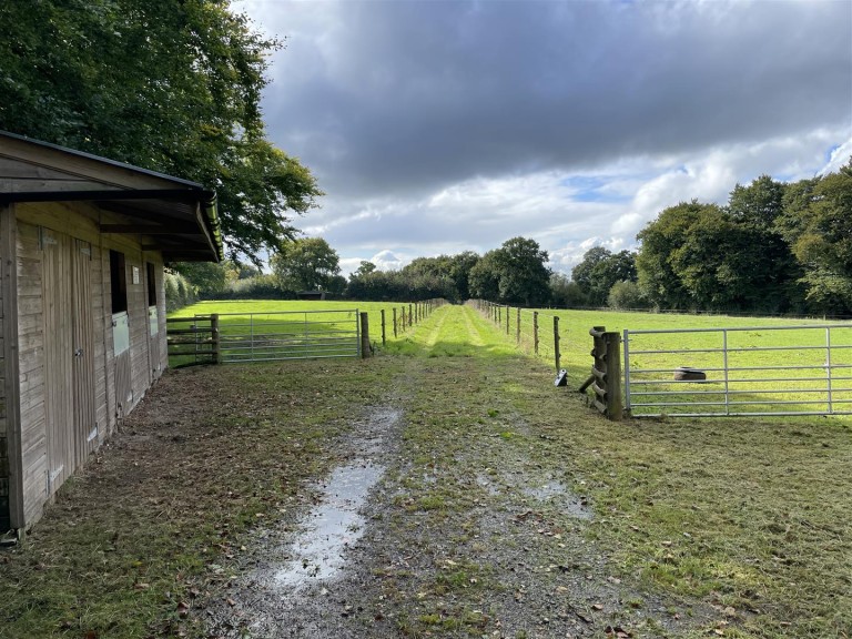 Images for Tedburrow, near Culmstock