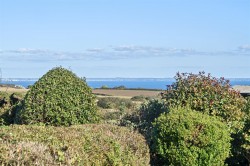 Images for St. Buryan, Penzance