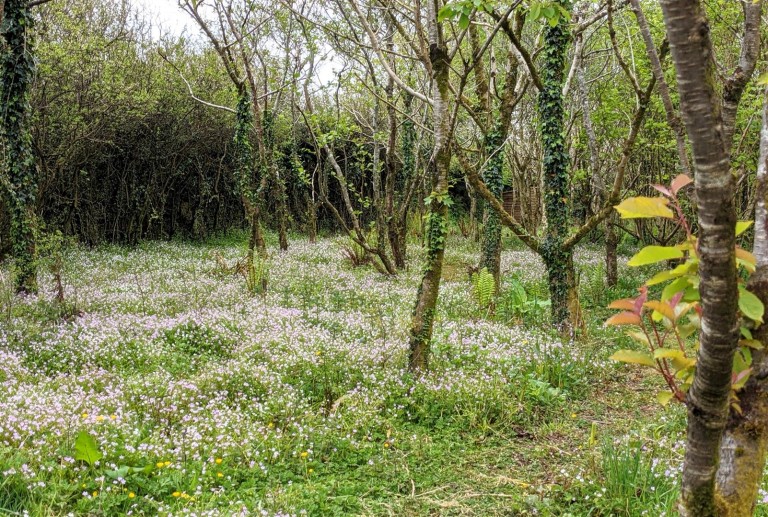 Images for Stithians, Truro