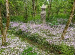 Images for Stithians, Truro