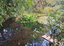 Images for Stithians, Truro