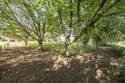 Images for Winterborne Zelston, Blandford Forum