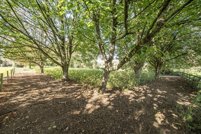 Images for Winterborne Zelston, Blandford Forum