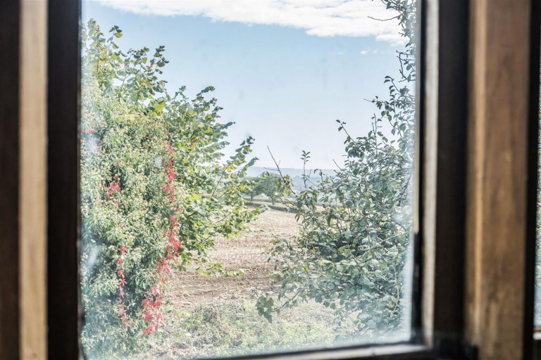 Images for Lurley, Tiverton