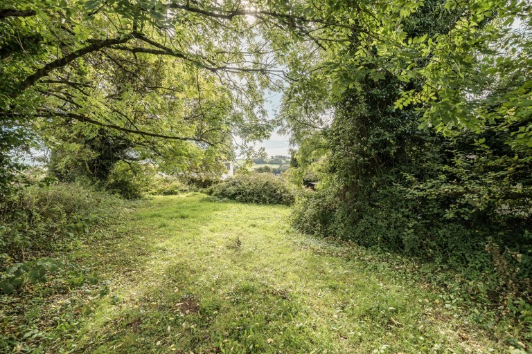 Images for Lurley, Tiverton