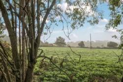 Images for Faulstone Lane, Bishopstone