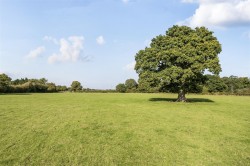 Images for Fluxton, Ottery St Mary