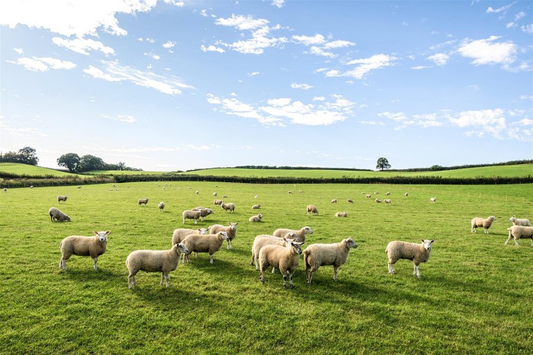 Images for Fluxton, Ottery St Mary