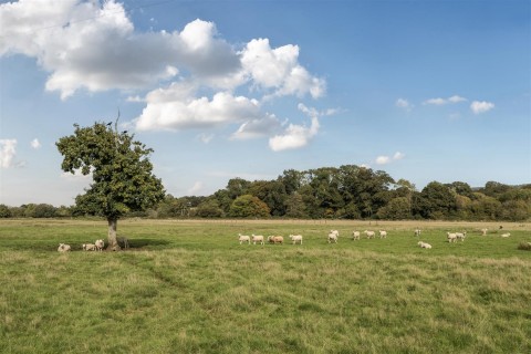 Click the photo for more details of Fluxton, Ottery St Mary