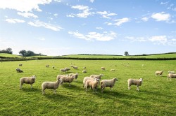 Images for Fluxton, Ottery St Mary