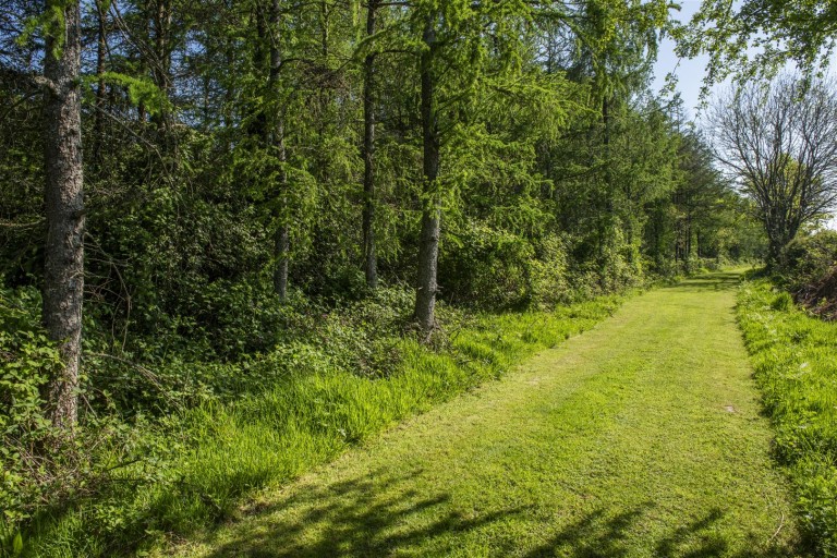 Images for Morchard Bishop