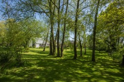 Images for Morchard Bishop