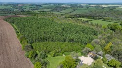 Images for Morchard Bishop