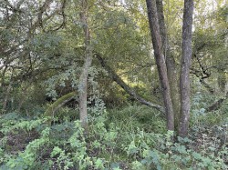 Images for Selwood, Frome