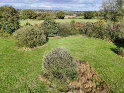 Images for Selwood, Frome