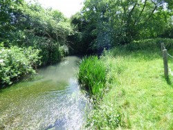 Images for Bowridge Hill, Gillingham, Dorset