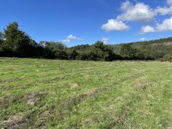 Images for Cove, Tiverton