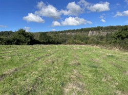 Images for Cove, Tiverton