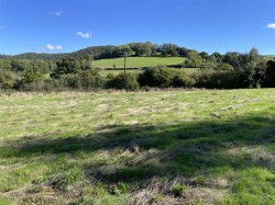 Images for Cove, Tiverton