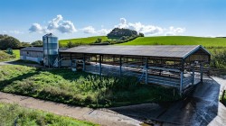 Images for Thorverton