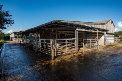 Images for Thorverton